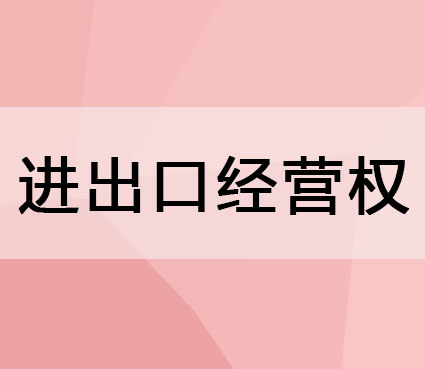 海南进出口经营许可证办理注意事项